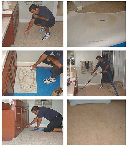 photo showing pet odor and spot removal process