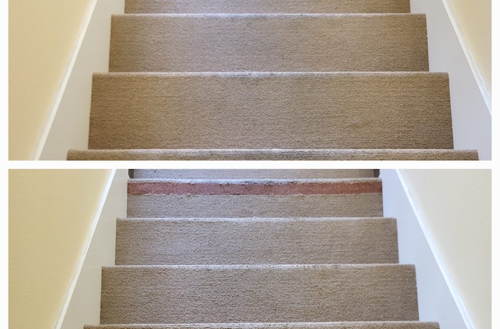 Carpet Cleaning Service Thousand Oaks CA #101