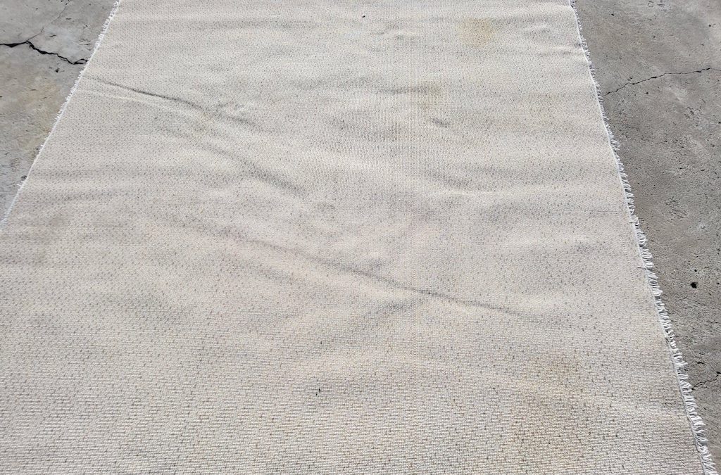 Carpet Cleaning Service Thousand Oaks CA #106