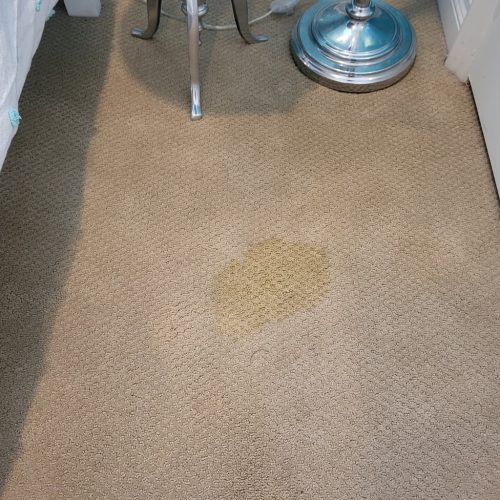 1. Carpet Cleaning Service Thousand Oaks CA