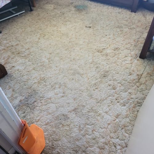 4. Carpet Cleaning Service Thousand Oaks CA