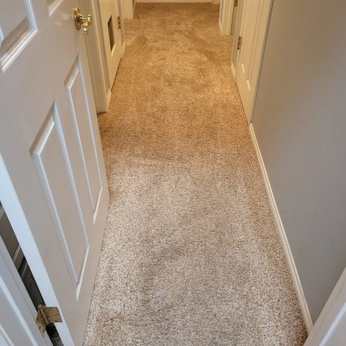5 Carpet Cleaning Service Thousand Oaks CA