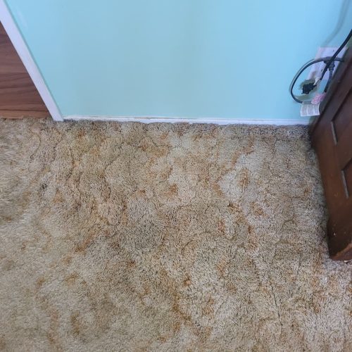 5. Carpet Cleaning Service Thousand Oaks CA