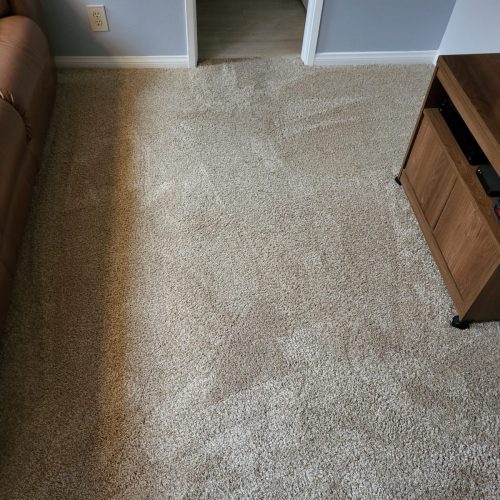6 Carpet Cleaning Service Thousand Oaks CA