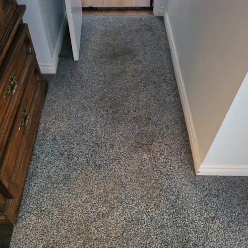 6. Carpet Cleaning Service Thousand Oaks CA