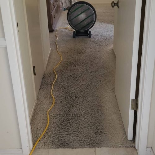 1.-Carpet-Cleaning-Service-Thousand-Oaks-CA (1)