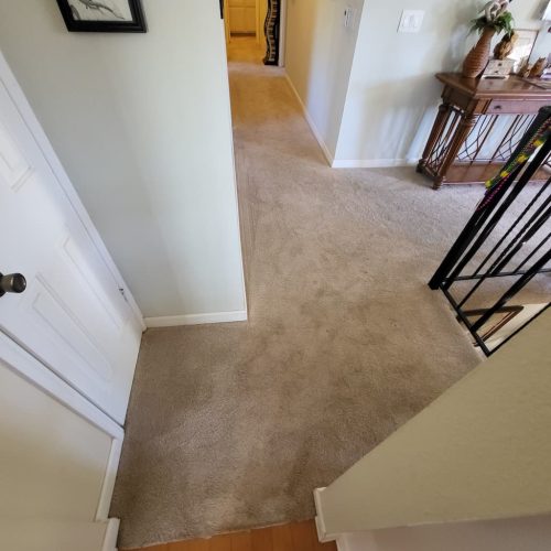 1.-Carpet-Cleaning-Service-Thousand-Oaks-CA (1) (1)
