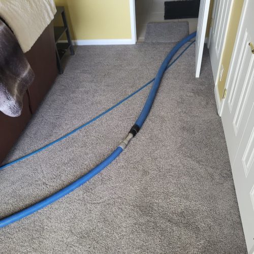 1.-Carpet-Cleaning-Service-Thousand-Oaks-CA (1) (1) (1)