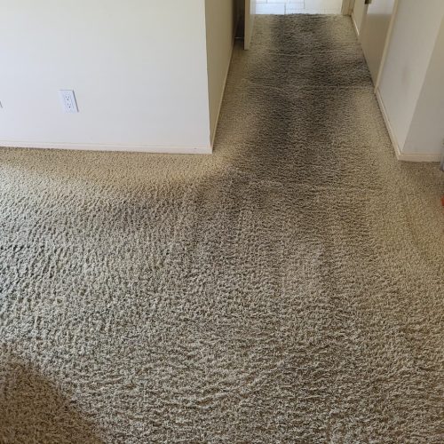 2.-Carpet-Cleaning-Service-Thousand-Oaks-CA-