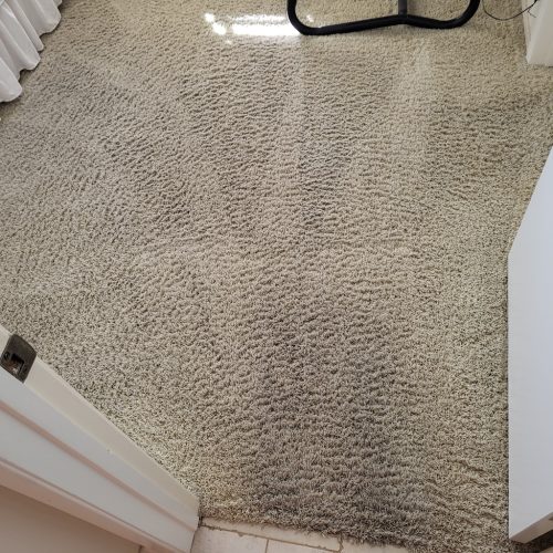 2.-Carpet-Cleaning-Service-Thousand-Oaks-CA (1)