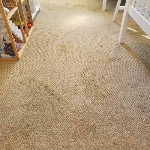 2.-Carpet-Cleaning-Service-Thousand-Oaks-CA (1) (1)