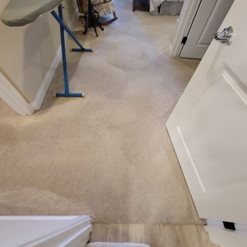 2.-Carpet-Cleaning-Service-Thousand-Oaks-CA (1) (1) (1)