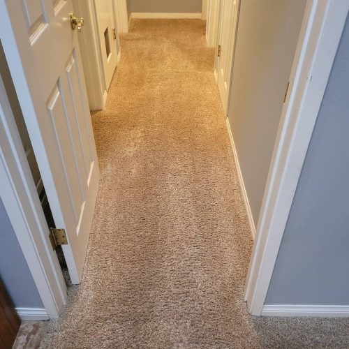 3-Carpet-Cleaning-Services-Thousand-Oaks-CA