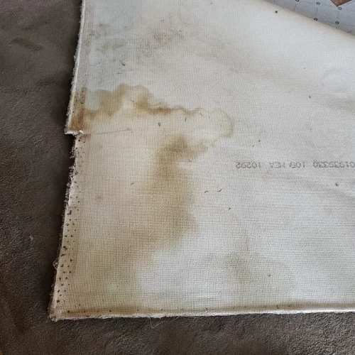 3.-Carpet-Cleaning-Service-Thousand-Oaks-CA-1-7-14-26