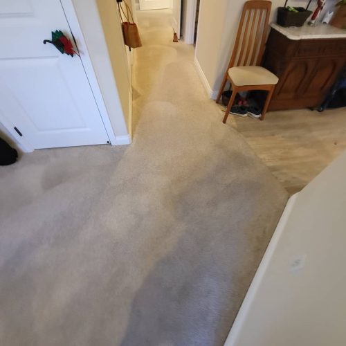 3.-Carpet-Cleaning-Service-Thousand-Oaks-CA (1) (1)