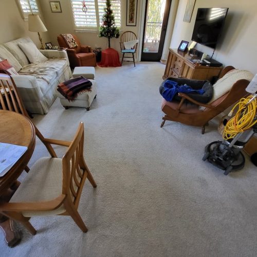 3.-Carpet-Cleaning-Service-Thousand-Oaks-CA (1) (1) (1)