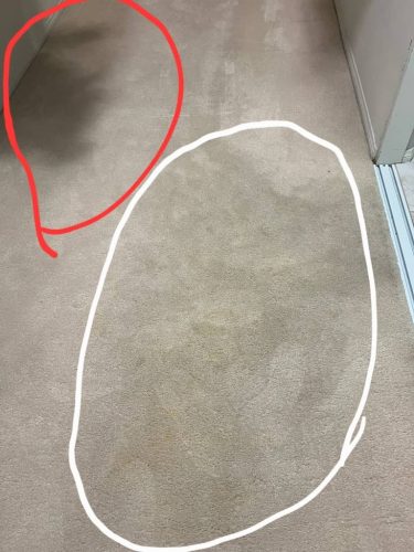 3.-Carpet-Cleaning-Service-Thousand-Oaks-CA (1) (1) (1) (1) (1)