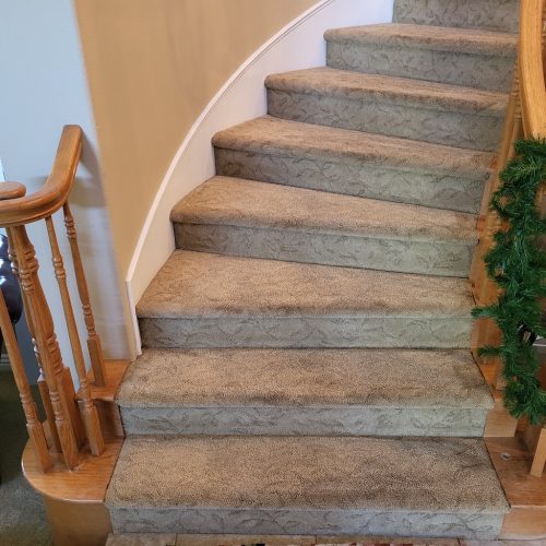 338.-Carpet-Cleaning-Service-Thousand-Oaks-CA