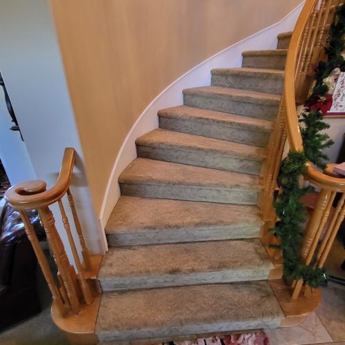 339.-Carpet-Cleaning-Service-Thousand-Oaks-CA