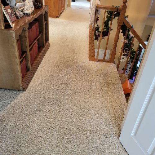 344.-Carpet-Cleaning-Service-Thousand-Oaks-CA-1