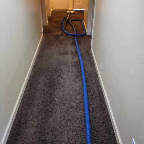 345.-Carpet-Cleaning-Service-Thousand-Oaks-CA