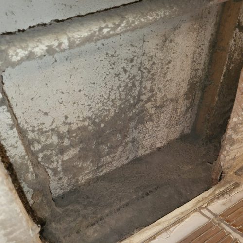 346.-Carpet-Cleaning-Service-Thousand-Oaks-CA