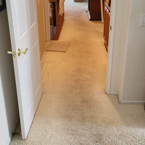 348.-Carpet-Cleaning-Service-Thousand-Oaks-CA
