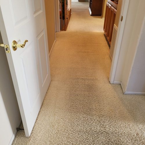 350.-Carpet-Cleaning-Service-Thousand-Oaks-CA