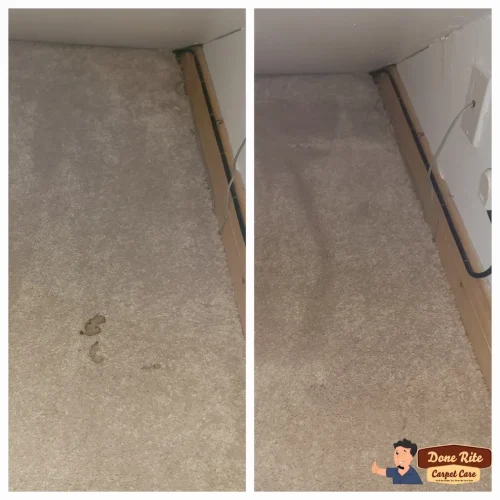 359.-Carpet-Cleaning-Service-Thousand-Oaks-CA