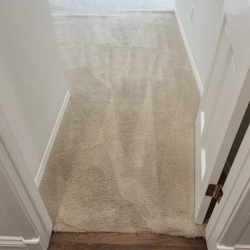 361.-Carpet-Cleaning-Service-Thousand-Oaks-CA