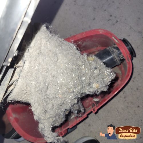 374.-Carpet-Cleaning-Service-Thousand-Oaks-CA