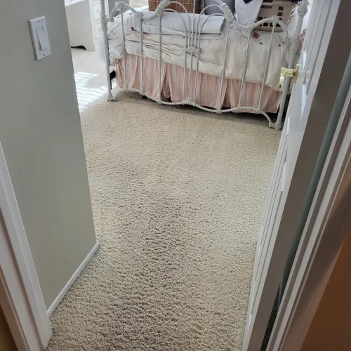 386.-Carpet-Cleaning-Service-Thousand-Oaks-CA