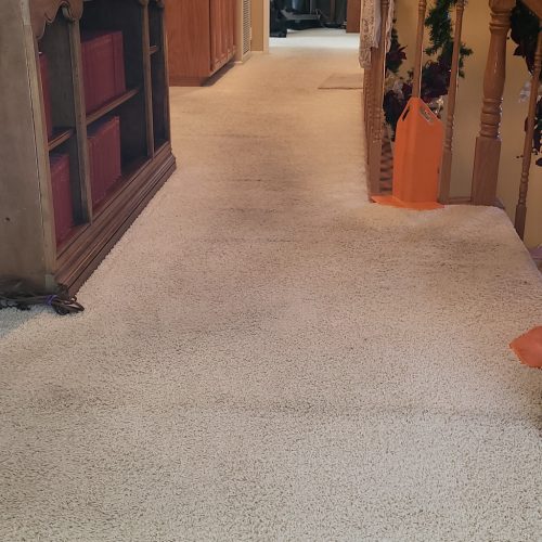 387.-Carpet-Cleaning-Service-Thousand-Oaks-CA