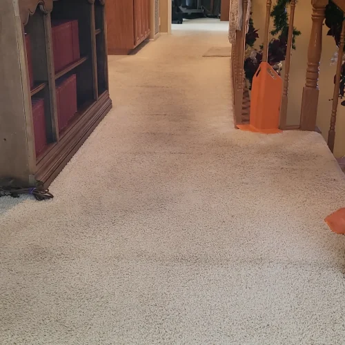 387.-Carpet-Cleaning-Service-Thousand-Oaks-CA