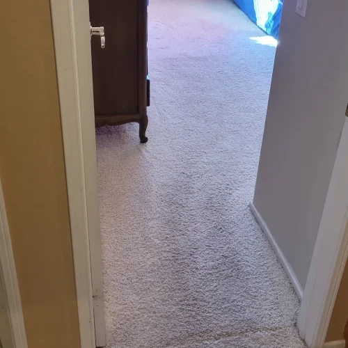 388.-Carpet-Cleaning-Service-Thousand-Oaks-CA