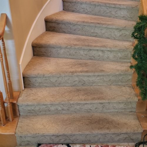 389.-Carpet-Cleaning-Service-Thousand-Oaks-CA