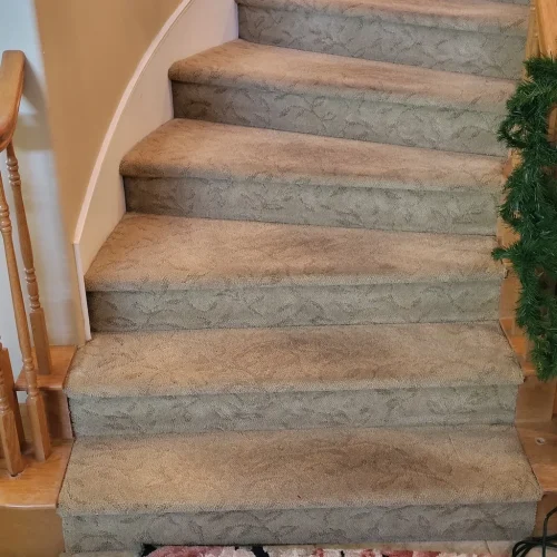 389.-Carpet-Cleaning-Service-Thousand-Oaks-CA
