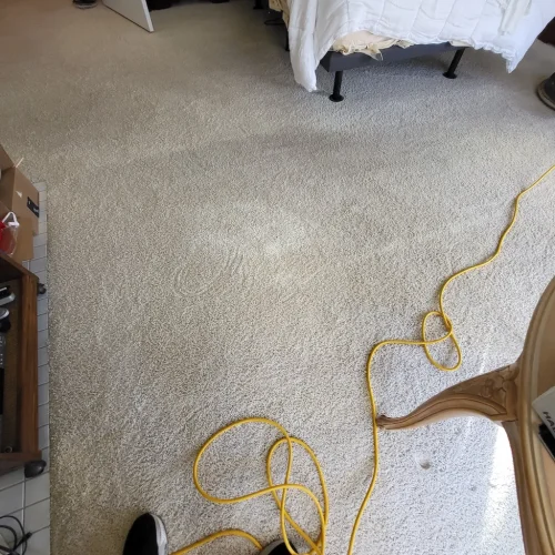 390.-Carpet-Cleaning-Service-Thousand-Oaks-CA