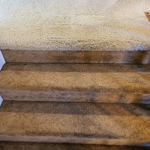 391.-Carpet-Cleaning-Service-Thousand-Oaks-CA