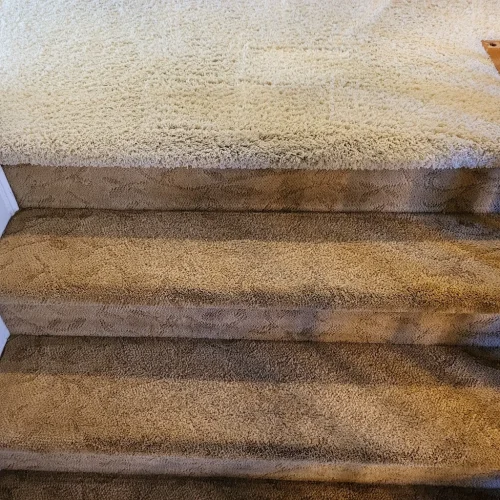 391.-Carpet-Cleaning-Service-Thousand-Oaks-CA