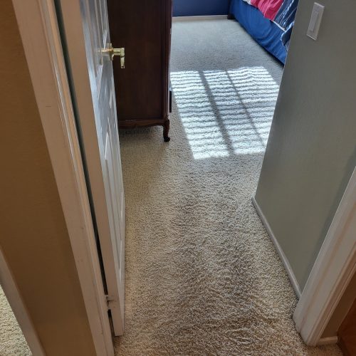 392.-Carpet-Cleaning-Service-Thousand-Oaks-CA