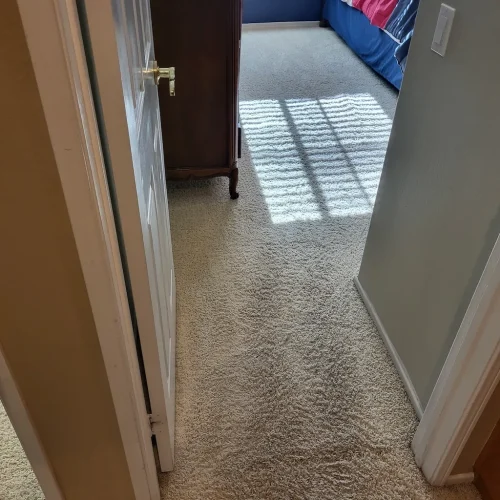 392.-Carpet-Cleaning-Service-Thousand-Oaks-CA