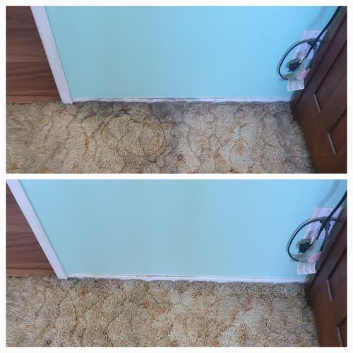 4.-Carpet-Cleaning-Service-Thousand-Oaks-CA-