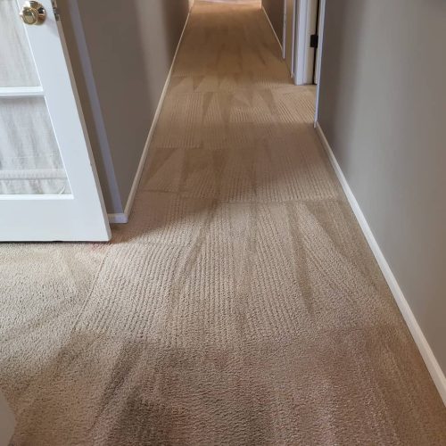 4.-Carpet-Cleaning-Service-Thousand-Oaks-CA