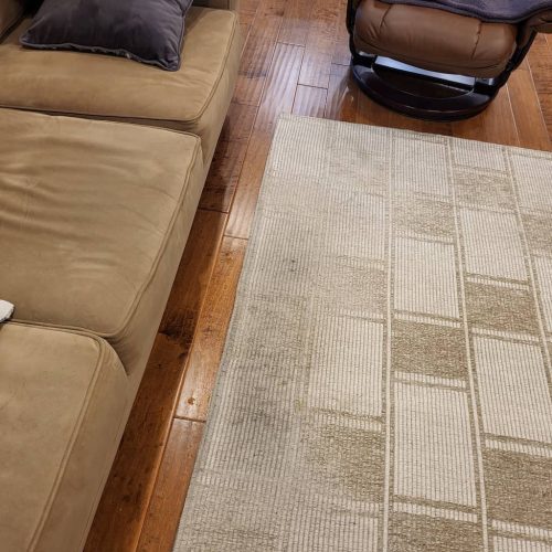 4.-Carpet-Cleaning-Service-Thousand-Oaks-CA (1) (1)