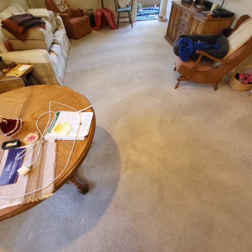 4.-Carpet-Cleaning-Service-Thousand-Oaks-CA (1) (1) (1) (1)