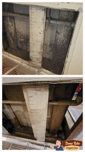 4.-Carpet-Cleaning-Service-Thousand-Oaks-CA (1) (1) (1) (1) (1)