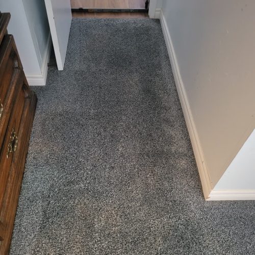 5.-Carpet-Cleaning-Service-Thousand-Oaks-CA-