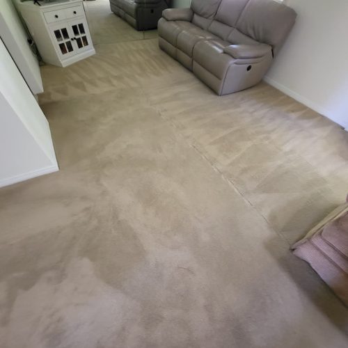 5.-Carpet-Cleaning-Service-Thousand-Oaks-CA (1) (1) (1)