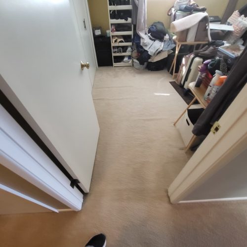 6.-Carpet-Cleaning-Service-Thousand-Oaks-CA-